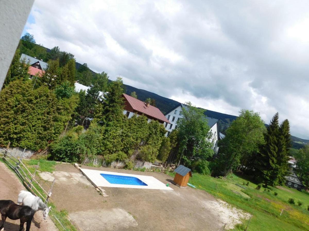 Pension U Mojmira Rokytnice nad Jizerou Dış mekan fotoğraf