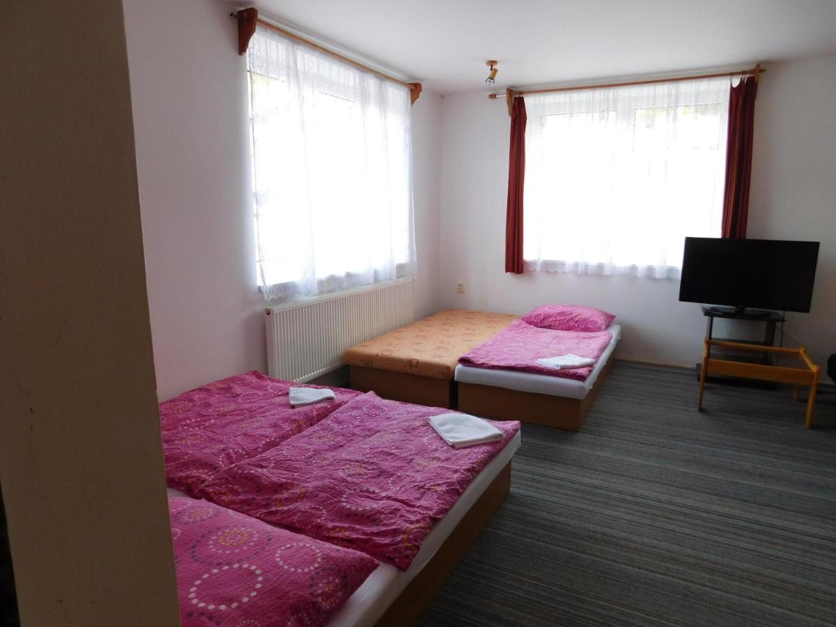Pension U Mojmira Rokytnice nad Jizerou Dış mekan fotoğraf